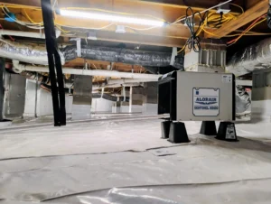You can see the vapor barrier we installed.