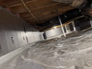 Professional crawlspace encapsulation by EcoCrawls showing a sealed floor and walls with a vapor barrier installed, creating a clean, dry environment after mold remediation and ready for dehumidifier placement.