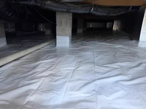 Clean, fully encapsulated crawlspace in Chapel Hill NC with white vapor barrier and sealed foundation walls